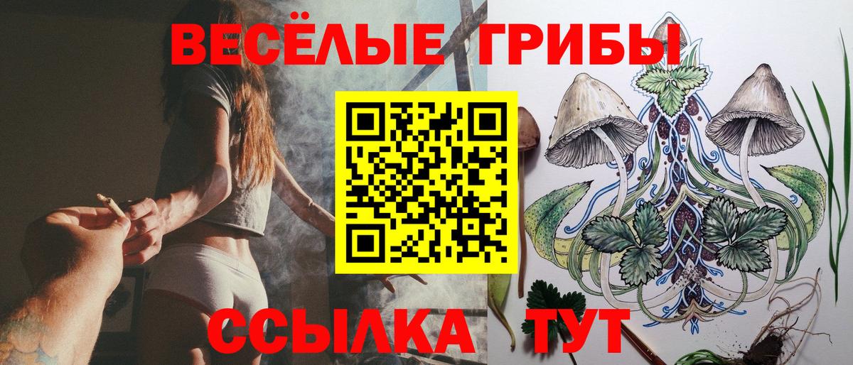 Гурьевск  Псилоцибиновые грибы Magic Shrooms  Вход с VPN 