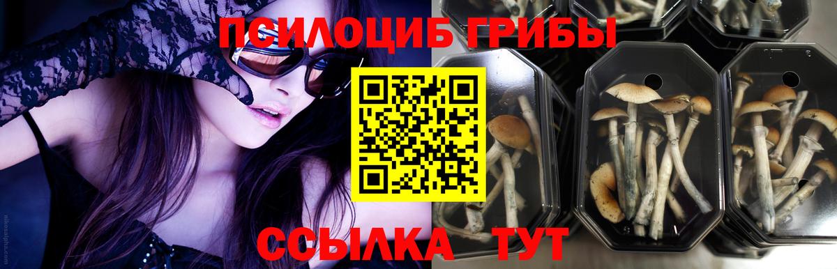 Псилоцибиновые грибы Magic Shrooms Гурьевск