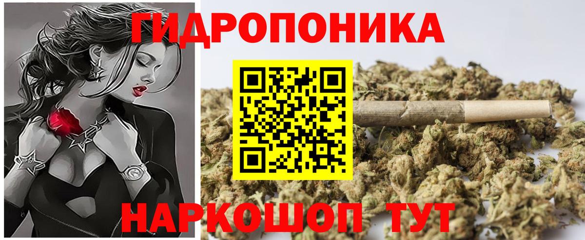 Гурьевск  Конопля сатива  Вход с VPN  Конопля White Widow  Канабис индика  Шишки марихуана марихуана 